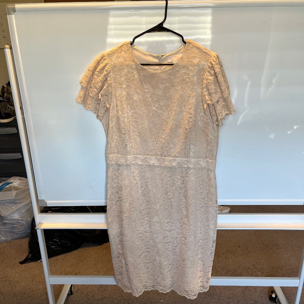 Pale pink Rachel Parcell lace cocktail dress XL